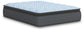 Destin Cove PT Queen Mattress